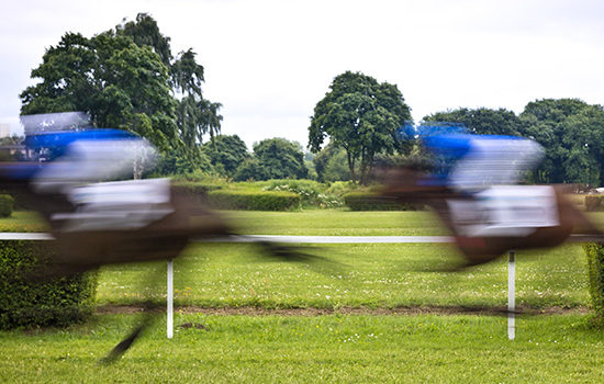 Blurred horses in race to promote leading horse racing insurance broker Full-time Cover