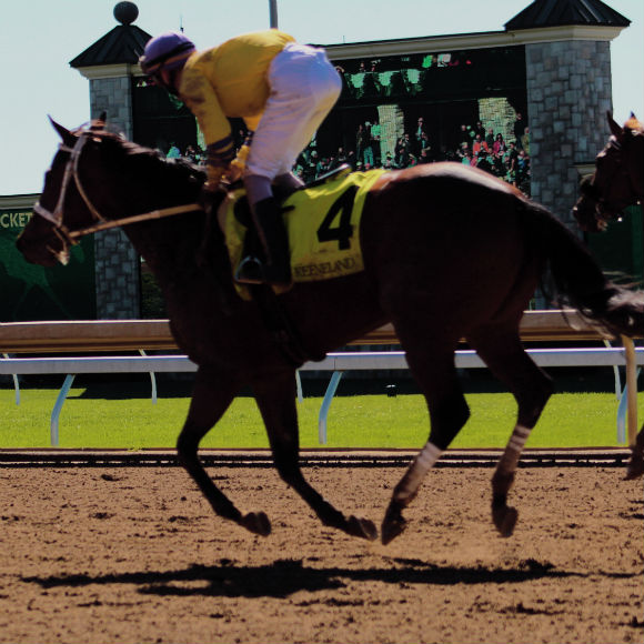 Racing horse to promote leading horse racing insurance brokers Full-Time Cover